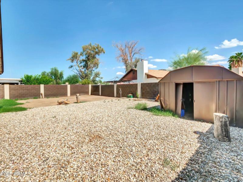 Backyard