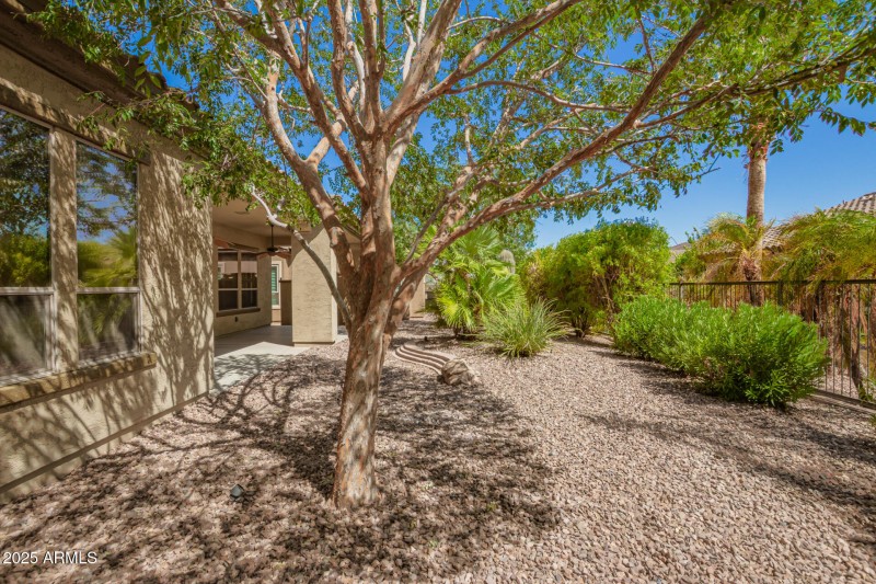 Fencing in backyard
