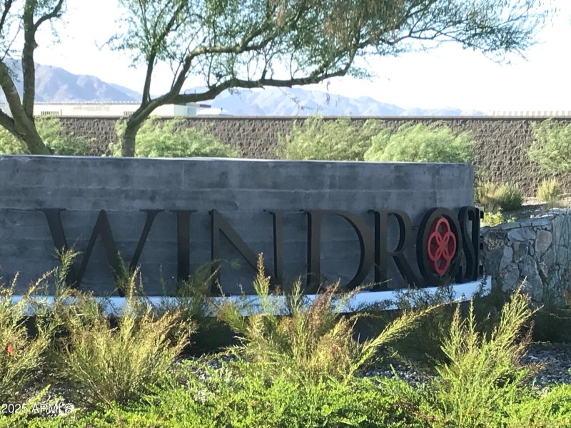 Windrose