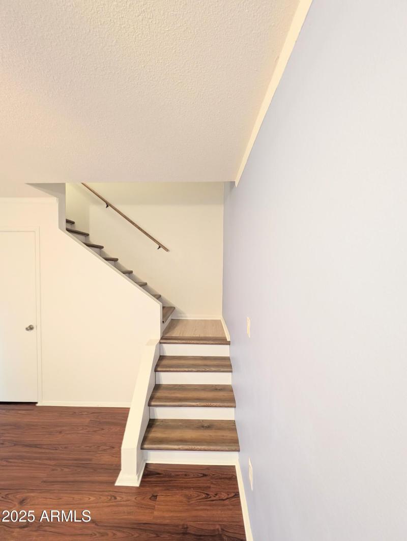 Palomino stairs