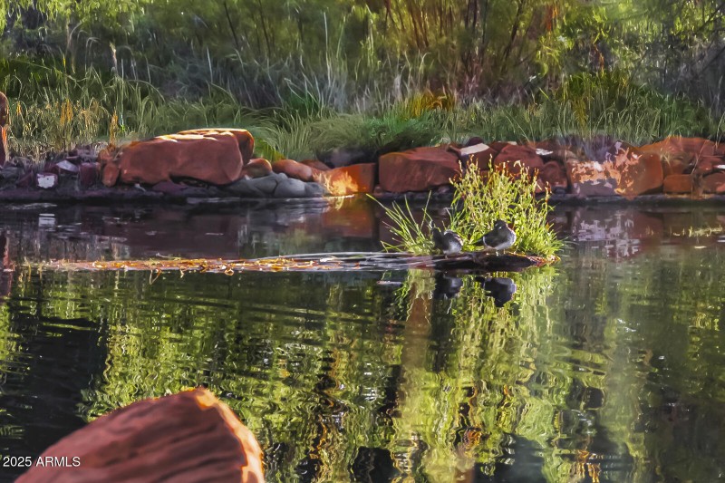 11 POND OWNERS