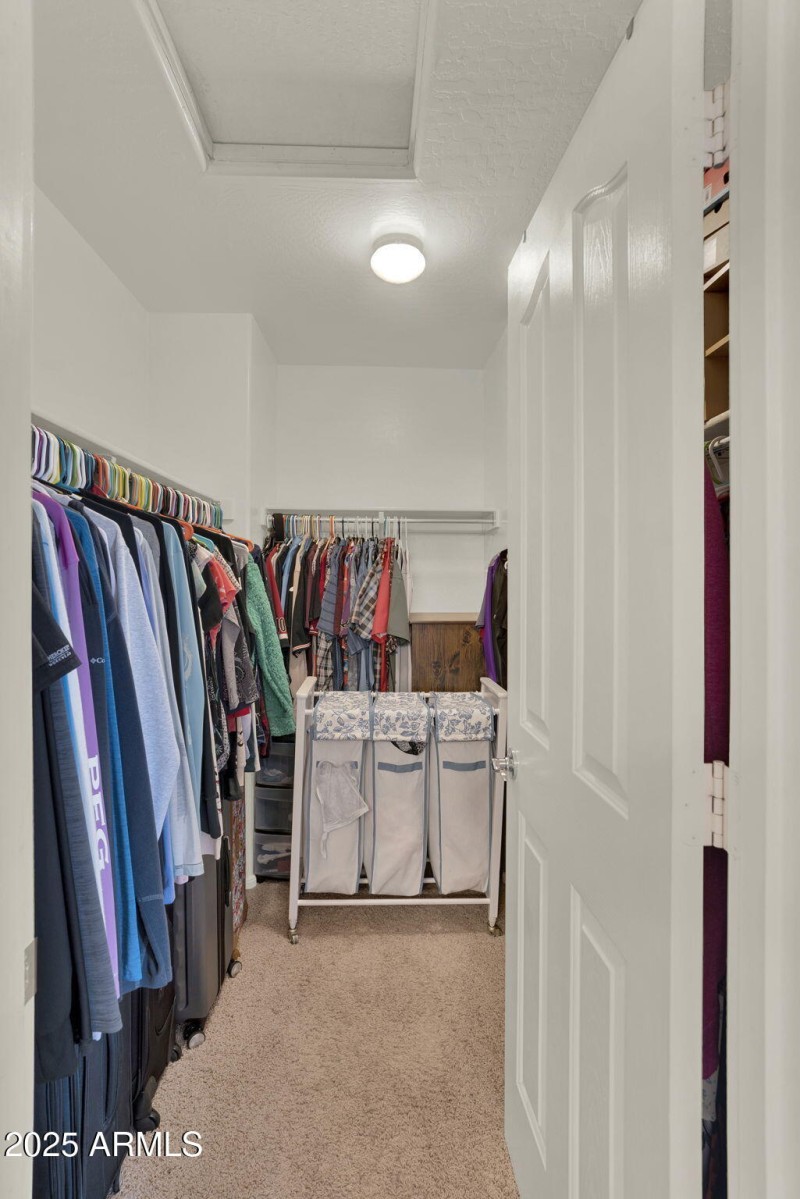 23-web-or-mls-Anastasia-21