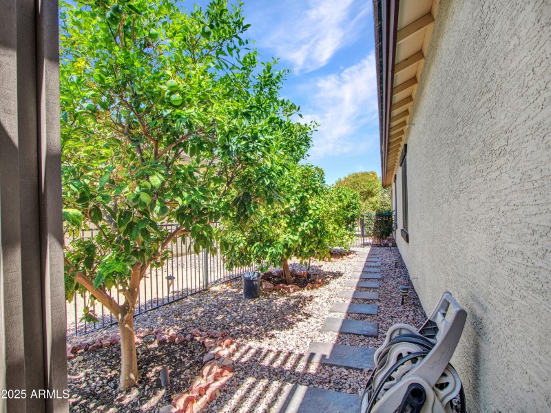 12-Backyard-(2)