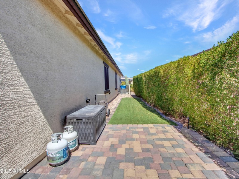 12-Backyard-(9)