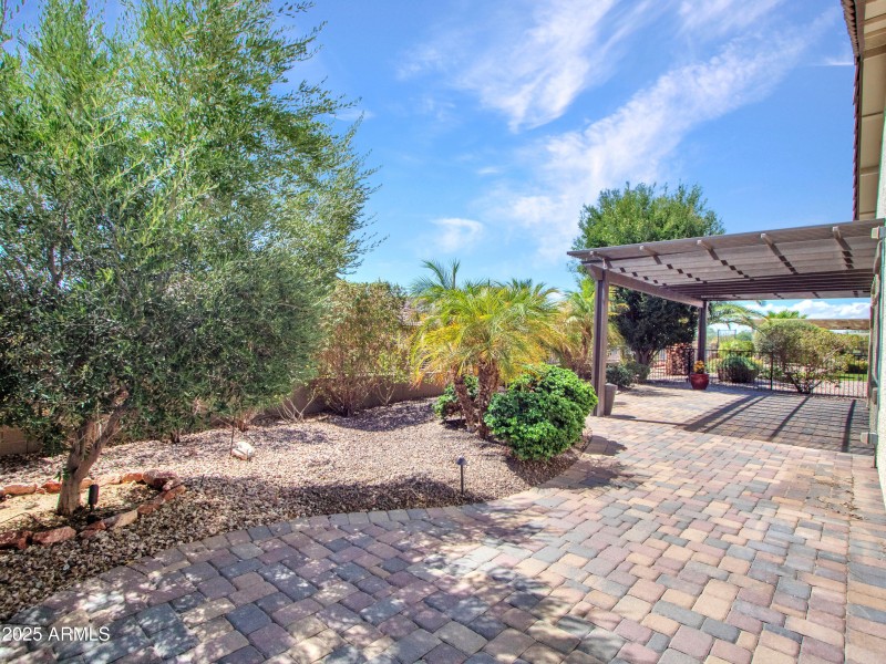 12-Backyard-(10)