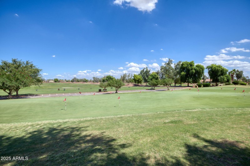 21916 N Pedregosa Ct Sun City West - 433