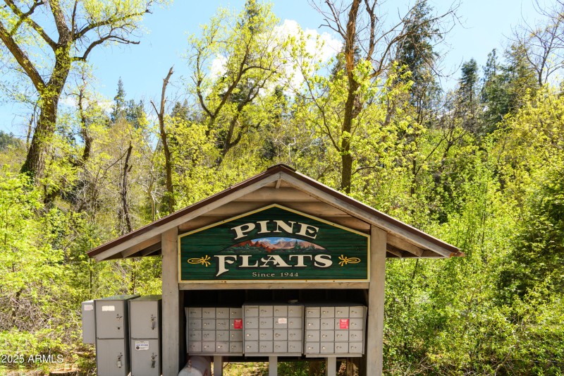 Pine Flats
