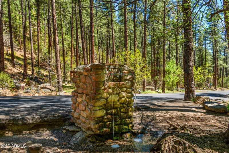 Spring Water