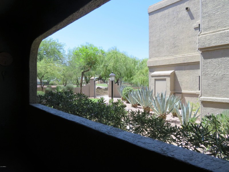 WALK WAY OUT TO PARK FROM COVERED PATIO