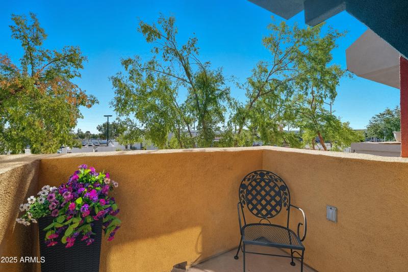 24-print-Washington-24