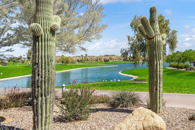 FOUNTAIN PARK - WALKING PATH