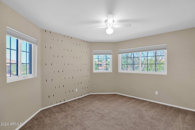 27-web-or-mls-P1036120