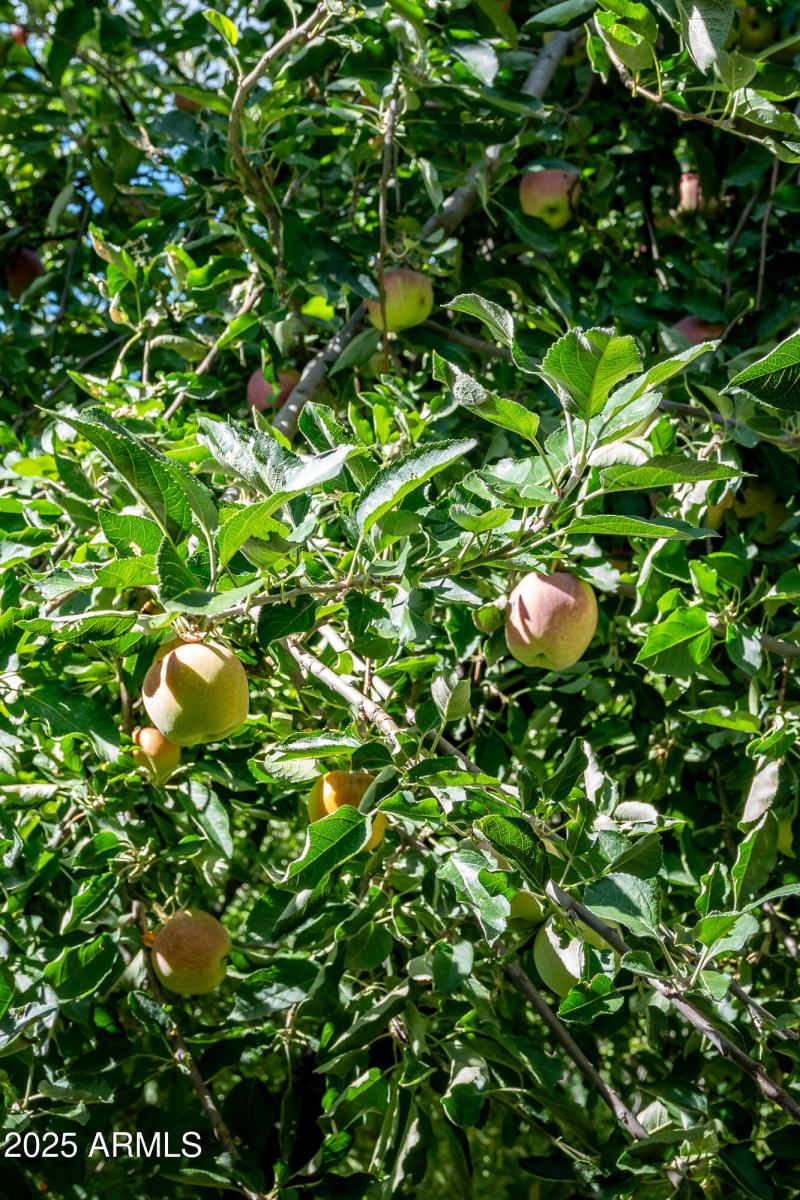 500 Old Indian Rd Sedona AZ-19