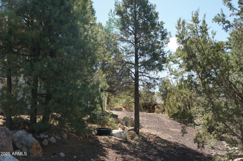 021 Pathway to the street