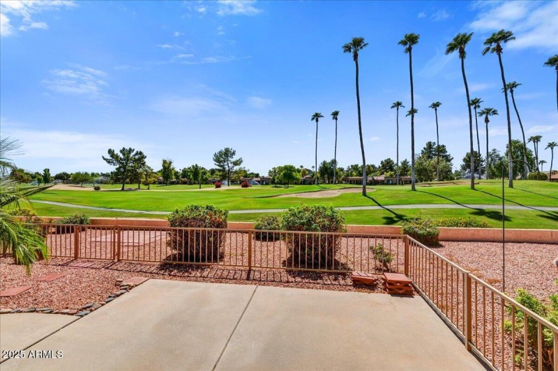 Patio and back yard
