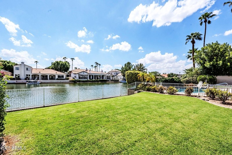 Lush Lawn in the Back Yard