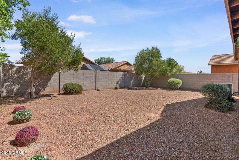 29-Back yard