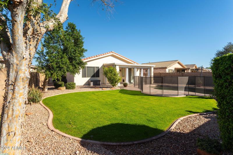 Back Yard Grass Area