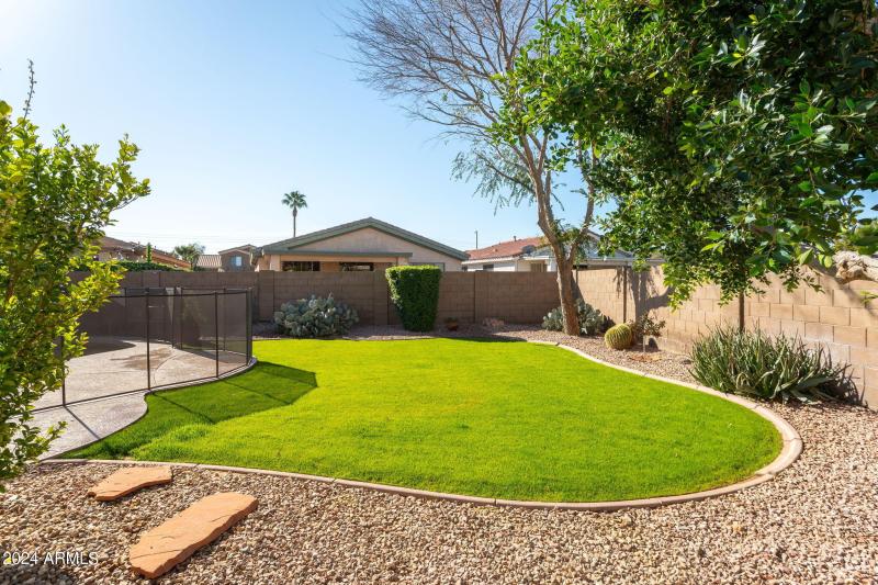 Back Yard Grass Area2