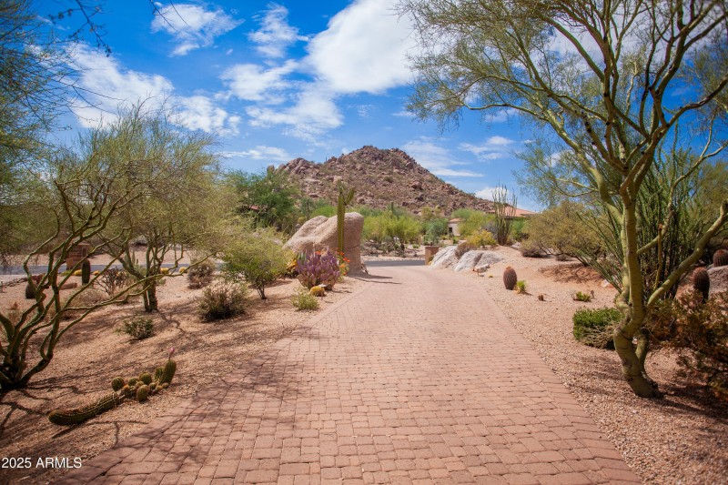 7946_E_SoaringEagle_013