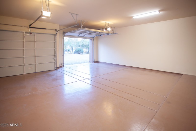 7946_E_SoaringEagle_020