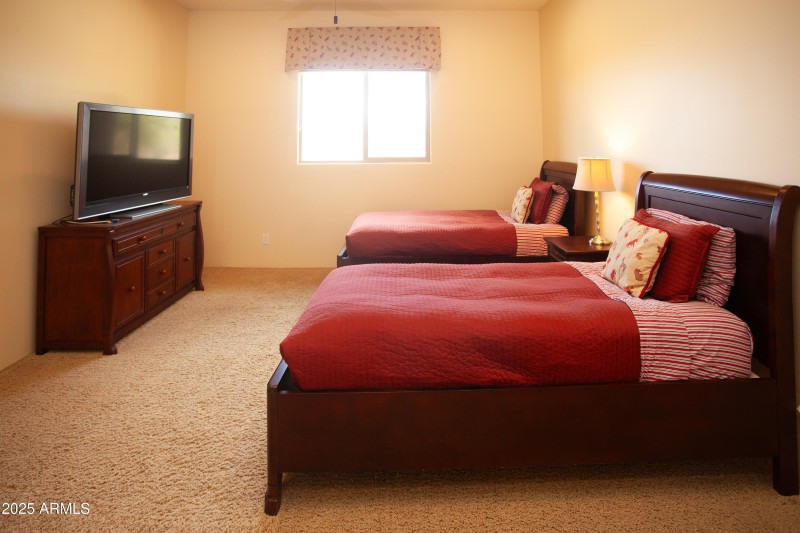 7946_E_SoaringEagle_055