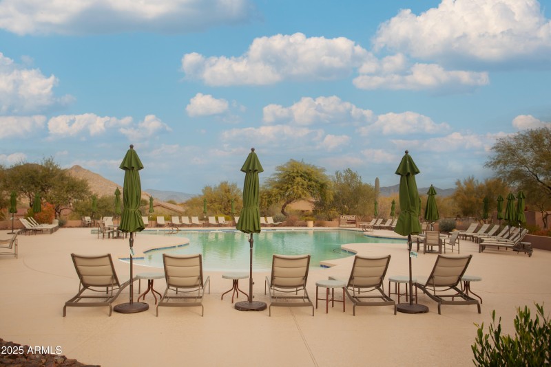 7946_E_SoaringEagle_078