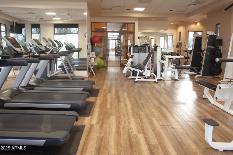 7946_E_SoaringEagle_083