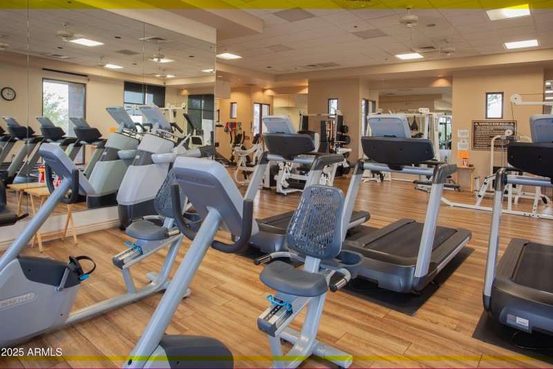 7946_E_SoaringEagle_084