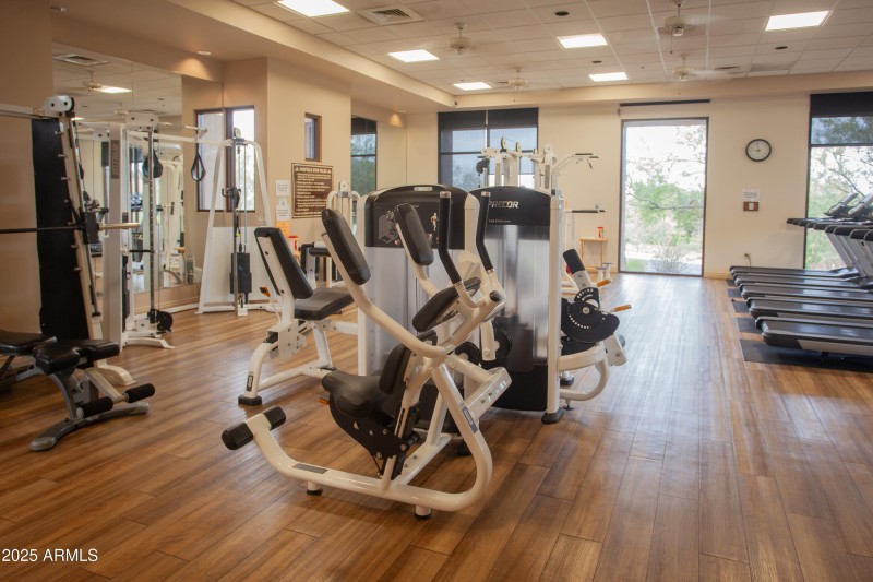 7946_E_SoaringEagle_085