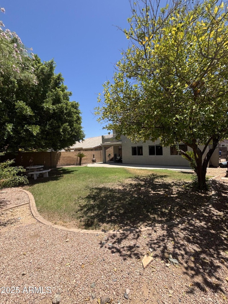 Villa Linda Backyard pic 1