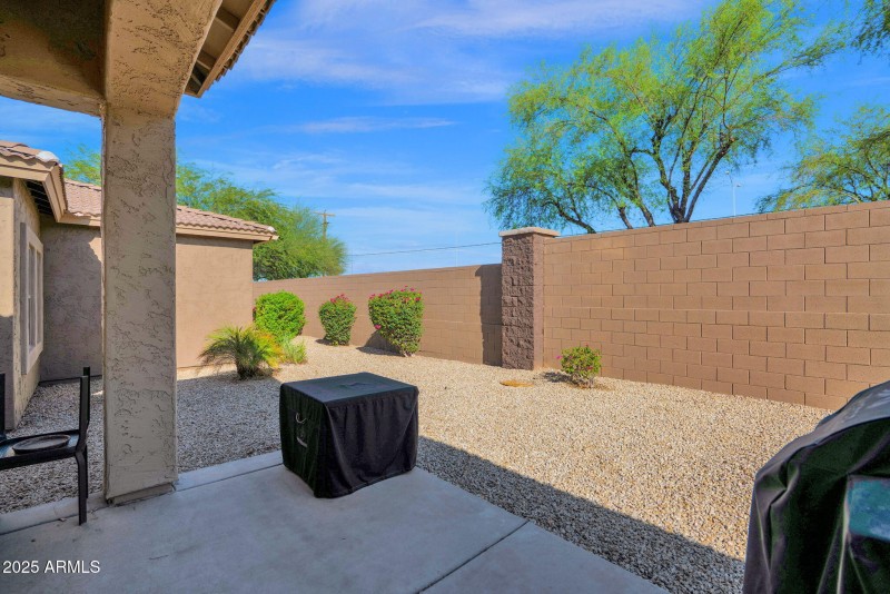 Back Patio