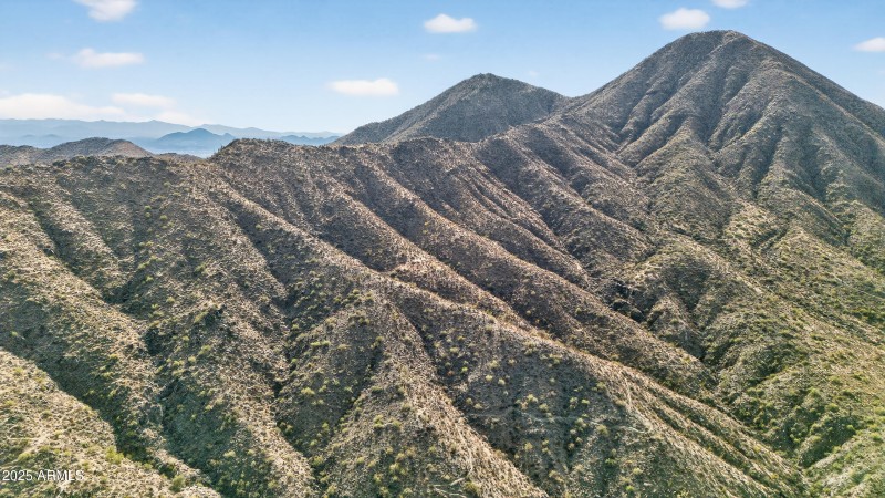 77-print-075_DJI_20250913065725_0064_D