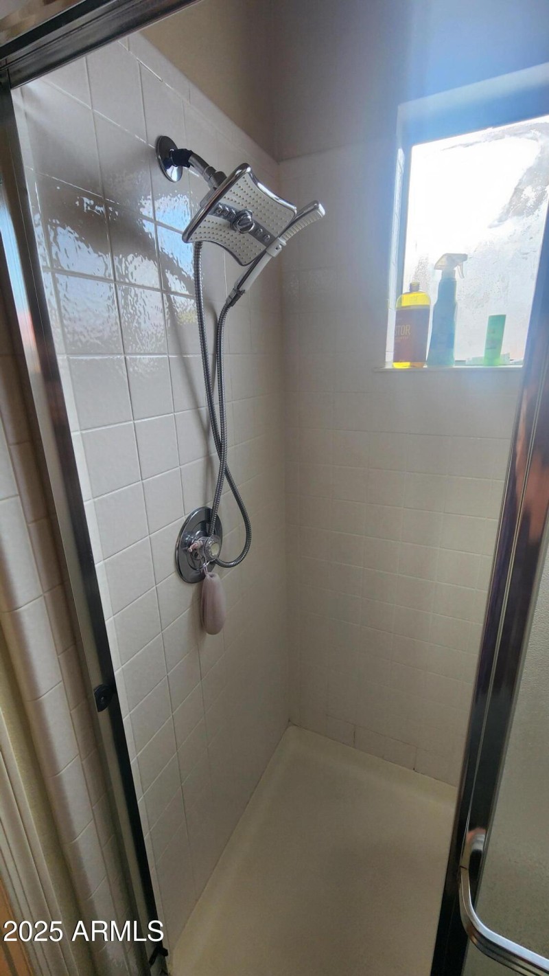 Primary Shower