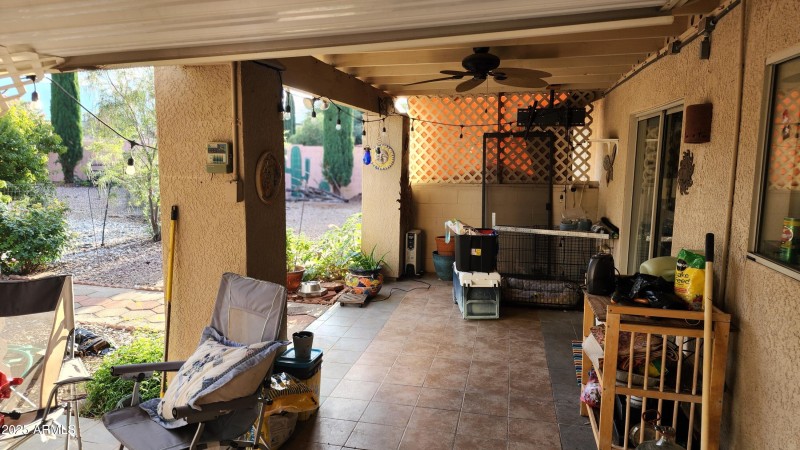 Back Patio 2