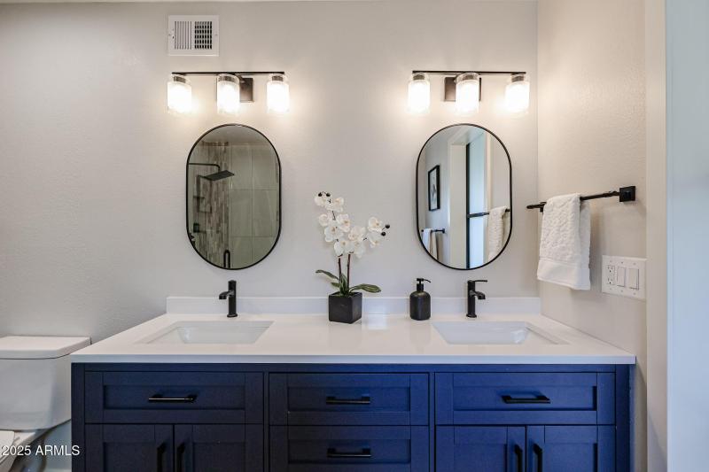 New Master Bathroom