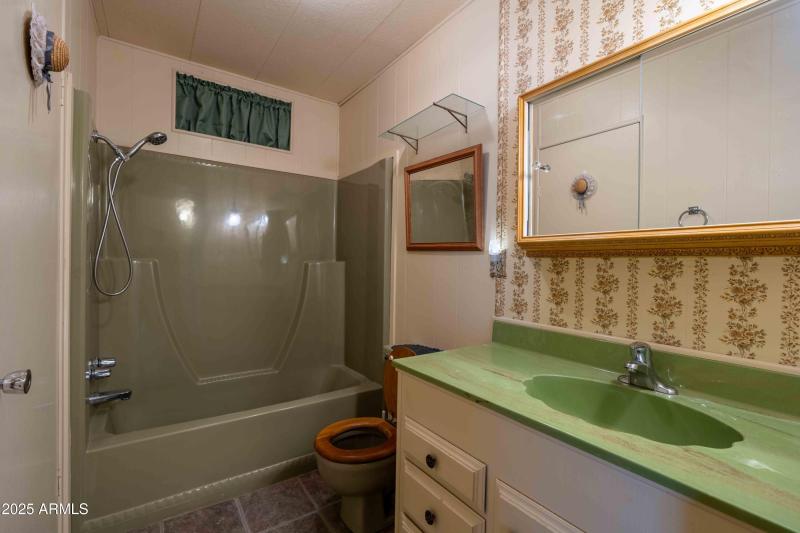 Hall Bathroom 2