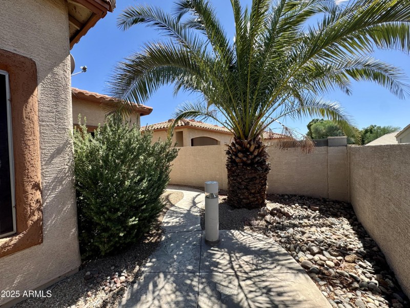 Backyard Encanto Side