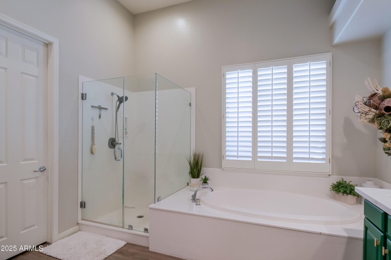 Primary Bath and Shower