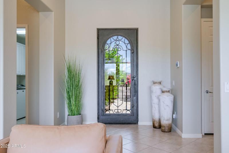 Iron Entry Door