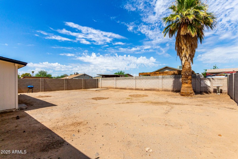 Backyard