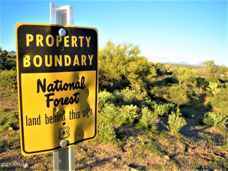 Borders Tonto National Forest