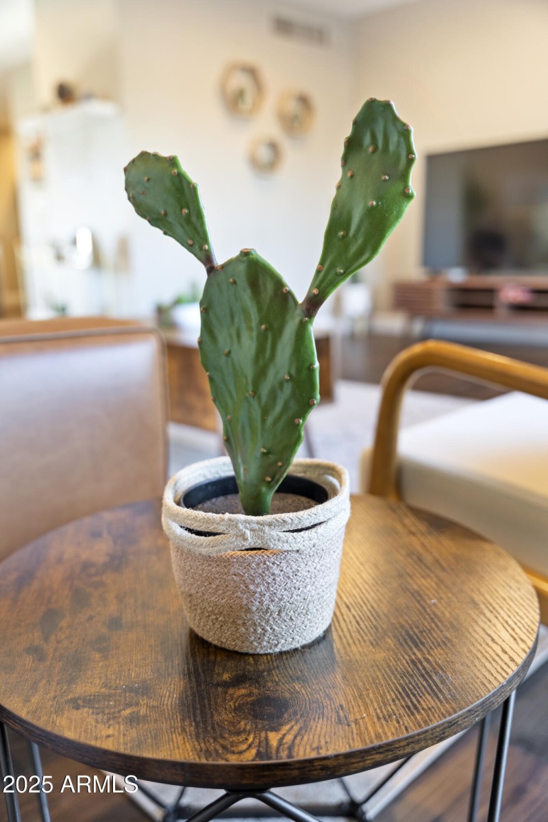 65_8655_E_Monte_Vista_Dr__62