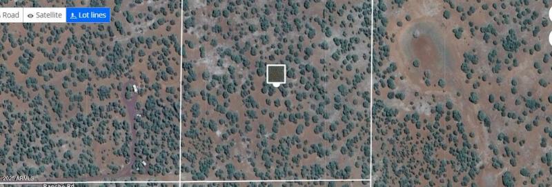 Showlow lot2