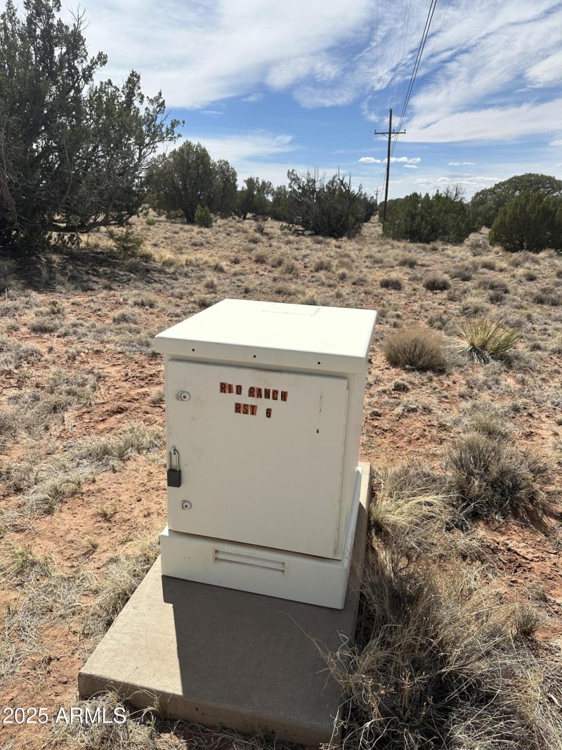 Electric Nearby