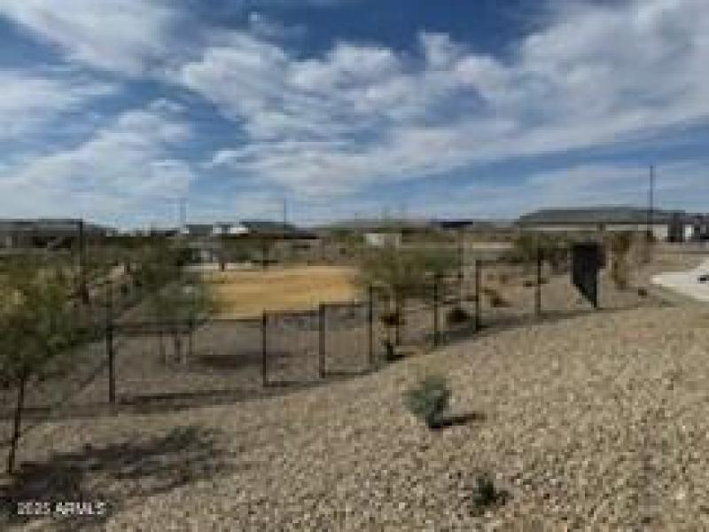 Picture2 dog park