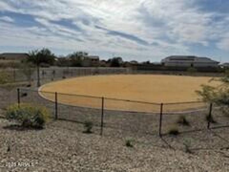Picture4 dog park