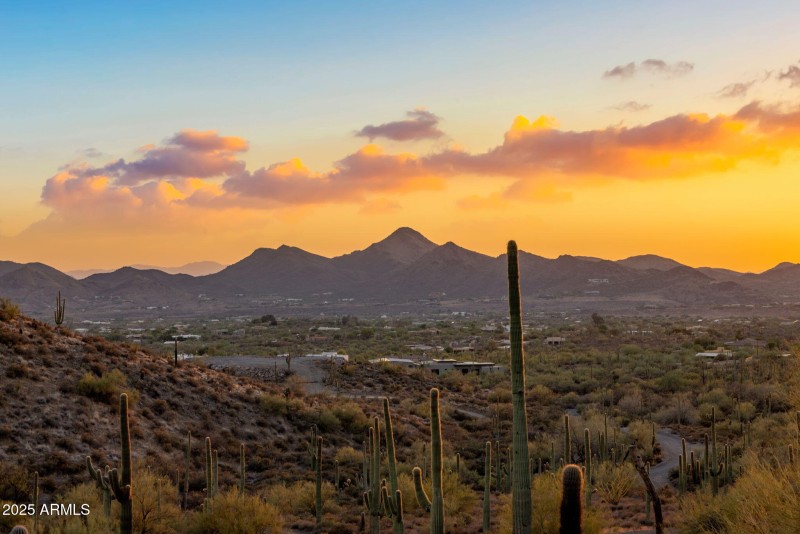 Build Your Custom Estate