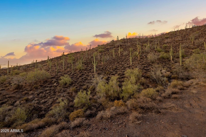 20 acres in Cave Creek