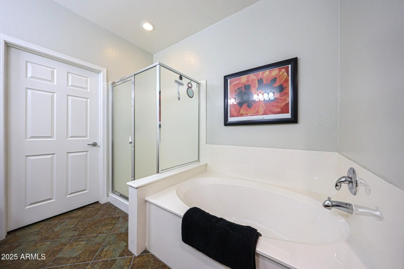 Primary Shower Tub